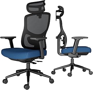 DEXYNOR Ergonomic Mesh Office Chair Blue